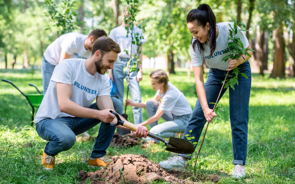 gardening