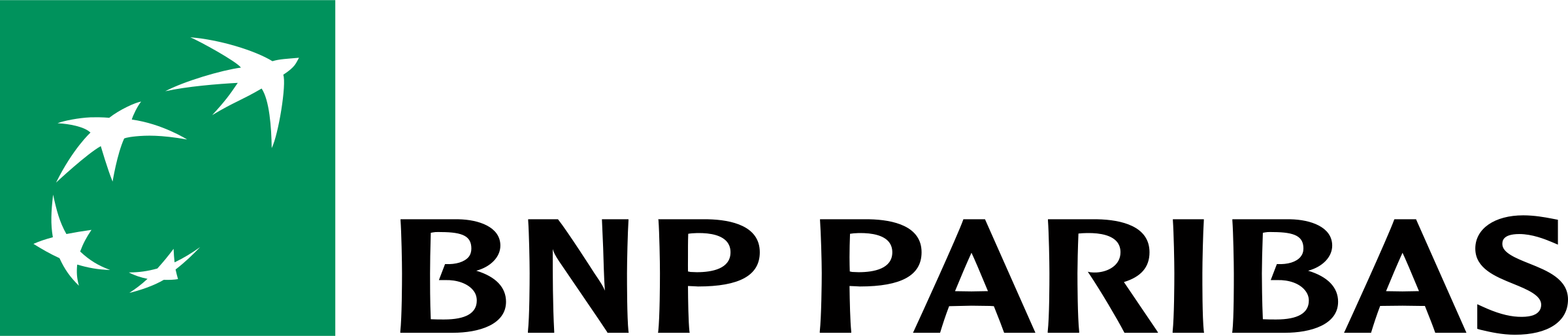bnp-paribas-1-logo-png-transparent
